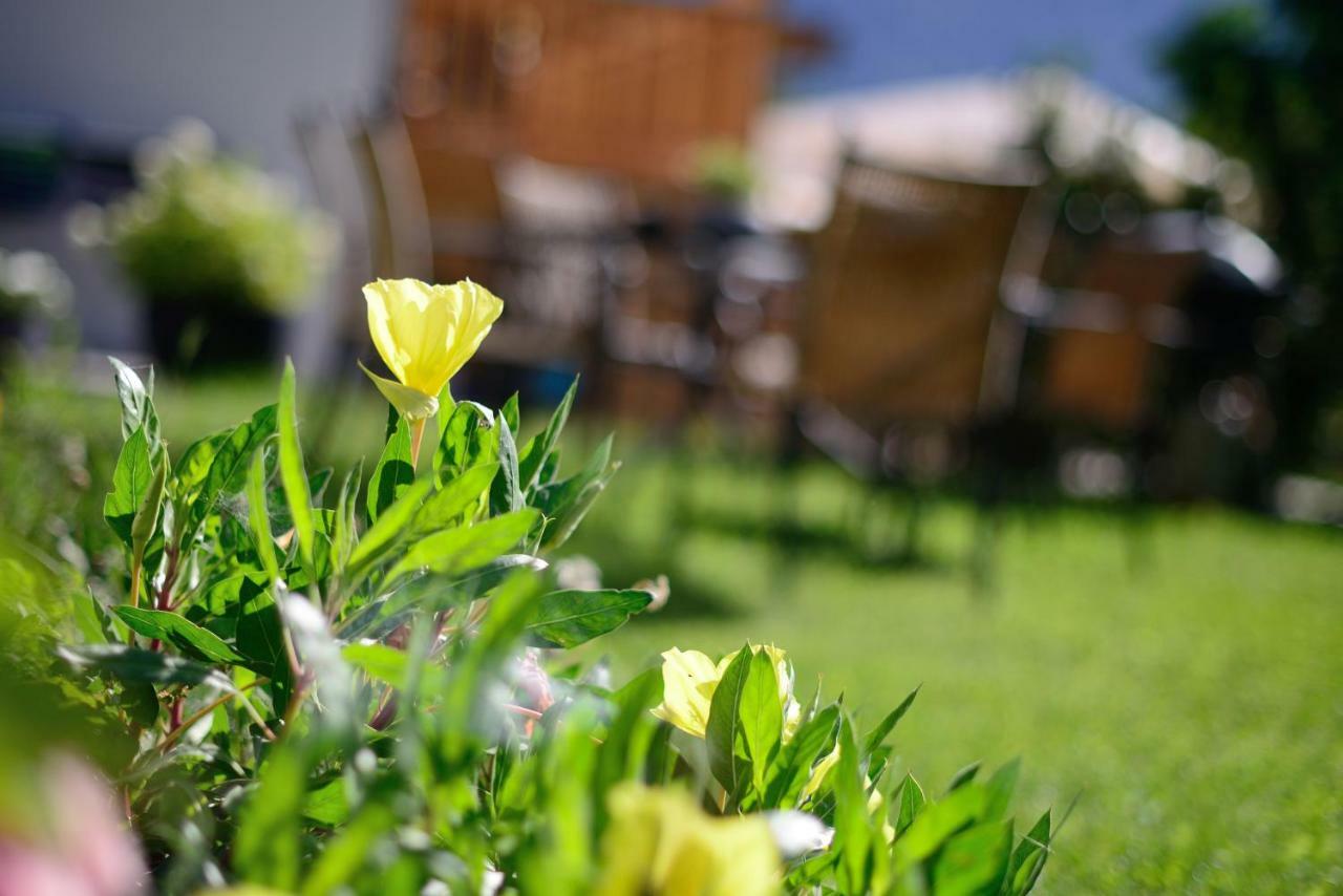Antonius Natur Apartment - Kinderfreie Unterkunft Lavant ภายนอก รูปภาพ